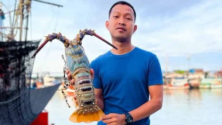 Phuket Lobster Prices Jump After GI Registration