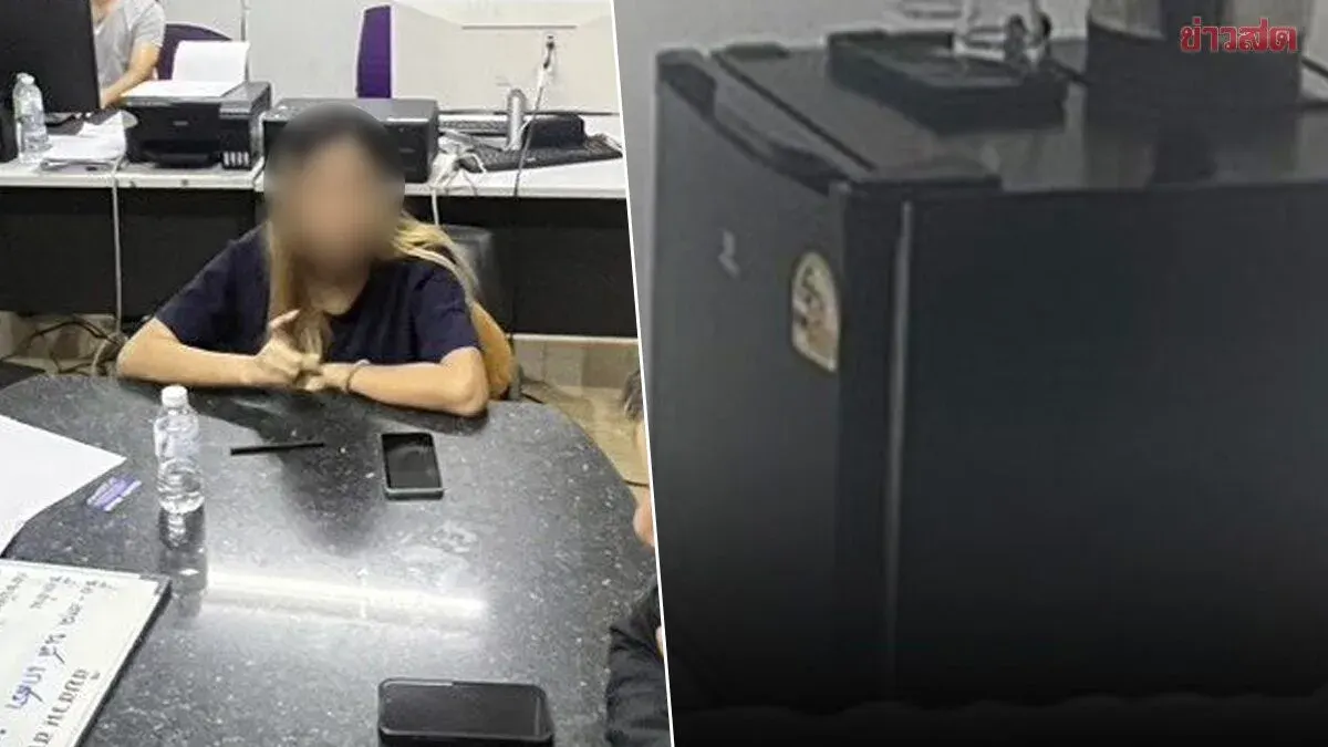 Thai Woman Keeps Miscarried Fetus in Hotel Fridge