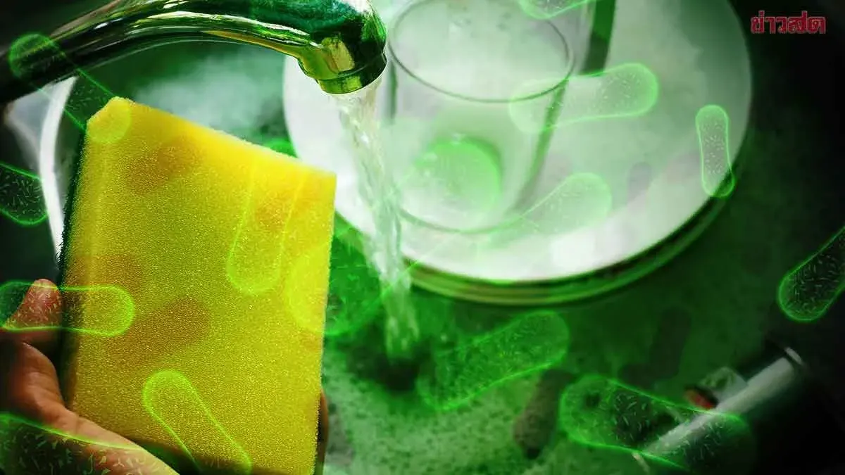 Thai Health Ministry Shares Tips to Keep Kitchen Sponges Bacteria-Free