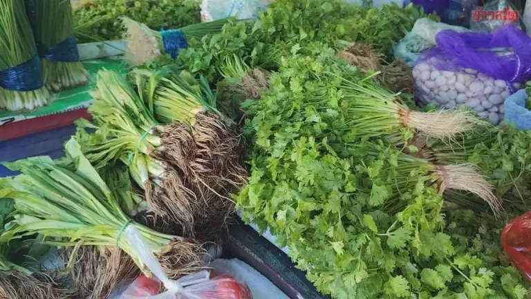 Vegetable Prices Surge in Nakhon Ratchasima Amid Floods
