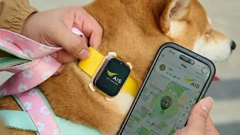 AIS Launches Smart Pet Phone with Real-Time GPS and Video Call