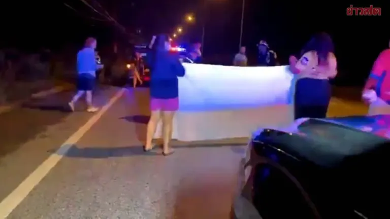 Man Killed in Hit-and-Run After Car and Truck Strike