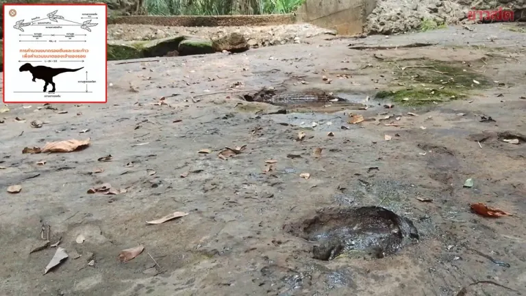 120-Million-Year-Old Theropod Tracks Found in Udon Thani