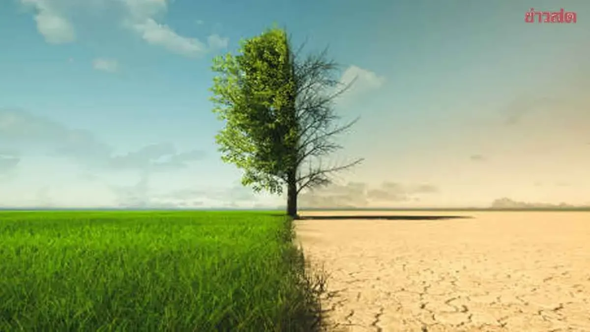 Three Plans Proposed to Stabilize Food Prices Amid Climate Change