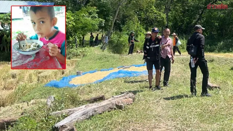Search Intensifies for Missing 7-Year-Old Boy in Kalasin Rice Fields