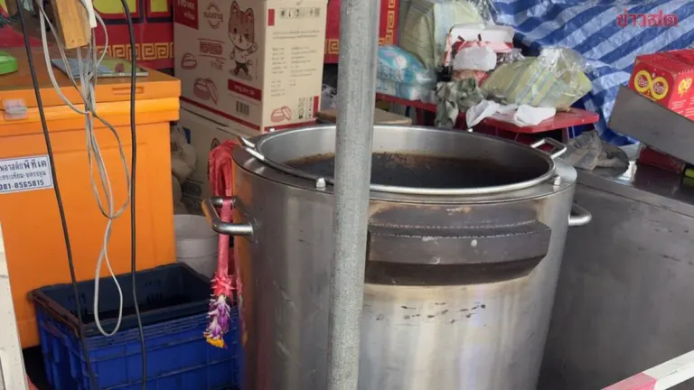 13-Year-Old Boy Electrocuted at Temple Fair