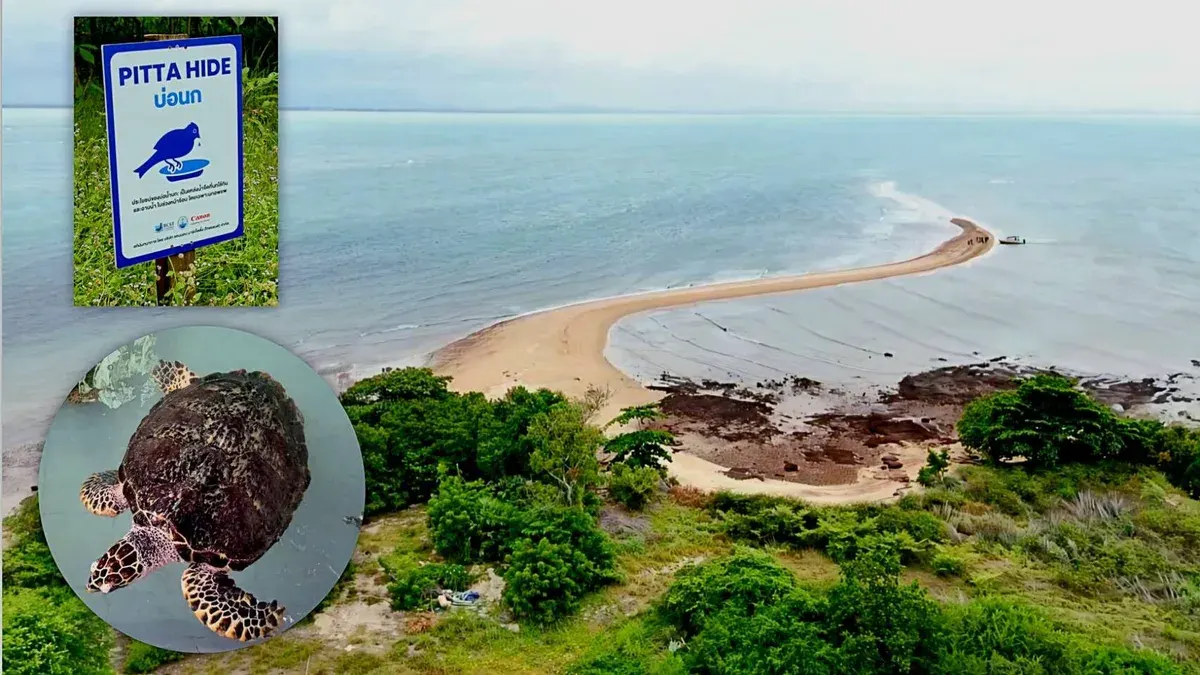 Marine Department Promotes Koh Man Nai's Unique Sea Parting