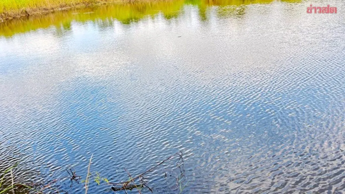 11-Year-Old Girl Drowns After Makeshift Boat Capsizes in Pond