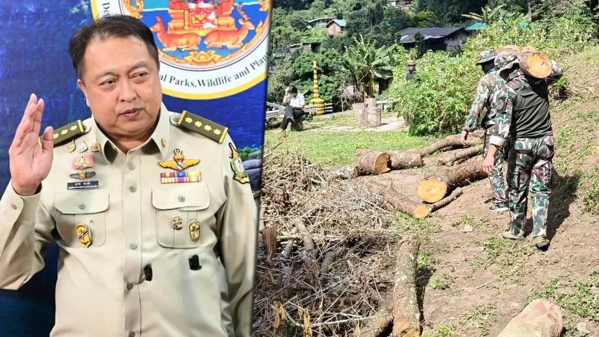 Minister Orders Crackdown After 15 Protected Trees Illegally Felled