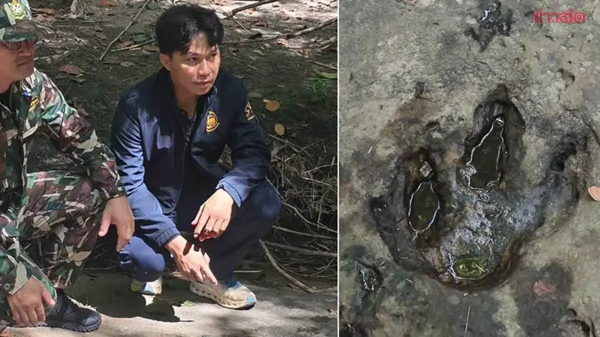 Tourist Finds 130-Million-Year-Old Dinosaur Tracks in Udon Thani