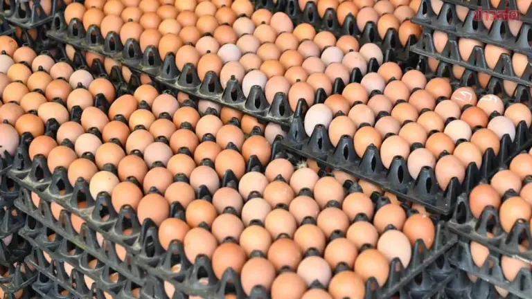 Egg Producers Assure Supply Stays Steady Despite Flood Damage