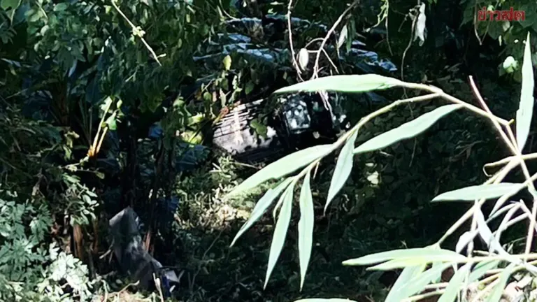Teen Killed, Ten Hurt in the Pickup Crash, Chiang Rai