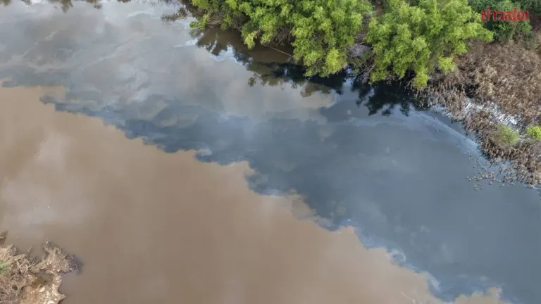 Prachinburi River Turns Black, Locals Suspect Chemical Pollution