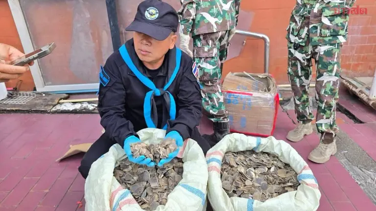 Authorities Seize 58 Kilograms of Pangolin Scales at Mukdahan Station