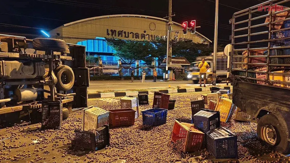 Pork Truck Crashes into Longan Truck at Red Light