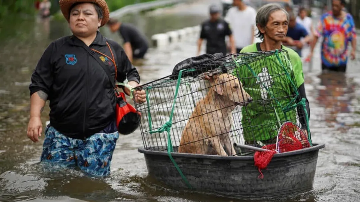 Animal Lovers Criticize PM's Flood Evacuation Order Prioritizing Humans