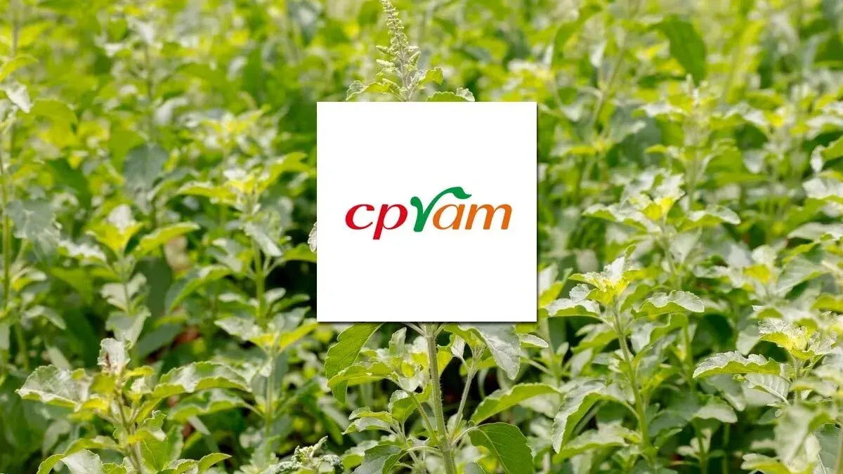 CPRAM Clarifies Basil Registration Only Covers New Varieties