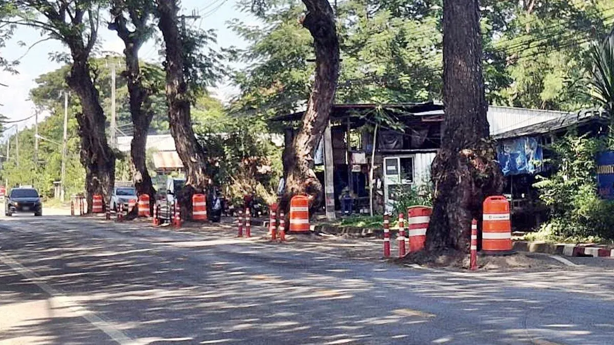 Giant Traffic Barrels Eliminate Tree Crashes on Chiang Mai Road