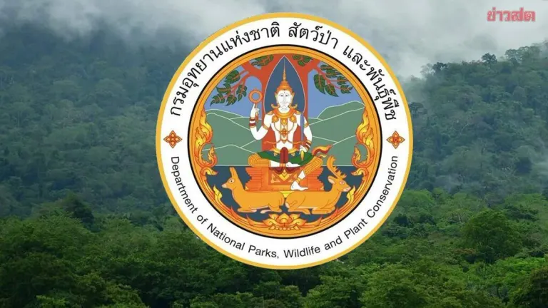 DNP Chief Orders Transfer of 95 Officials, Names Released