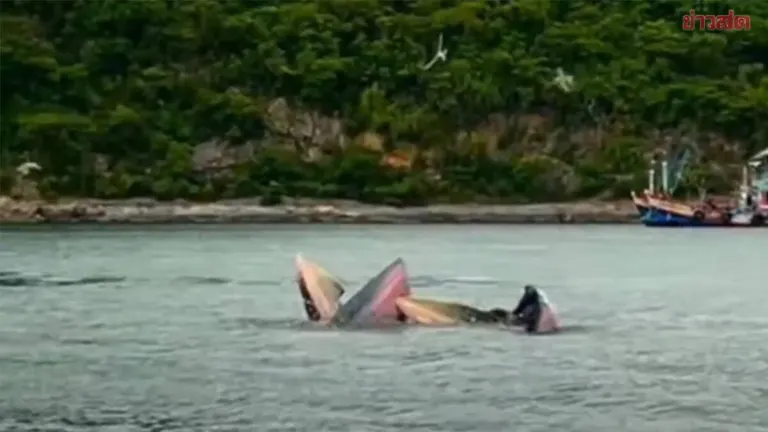 Rare Bryde’s Whale Spotted Feeding Near Koh Si Chang