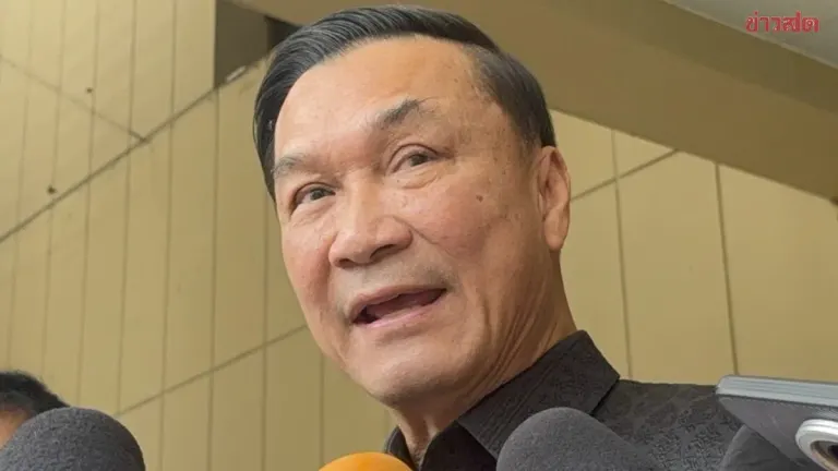 Deputy PM Defends Local Ties, Denies Senate Takeover Link
