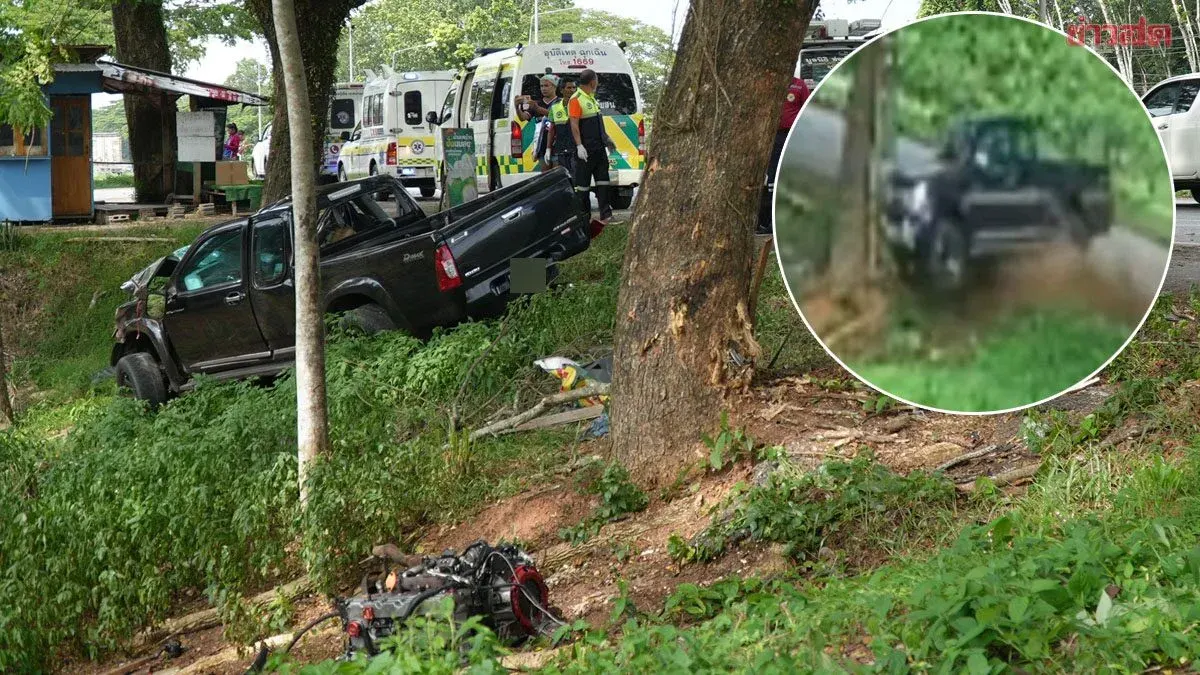 Pickup Truck Hits Tree in Rain, Killing Phatthalung Businessman