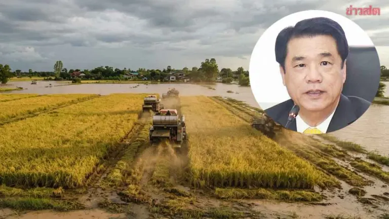 Agriculture Minister Warns Farmers to Harvest Rice Amid Rising Flood