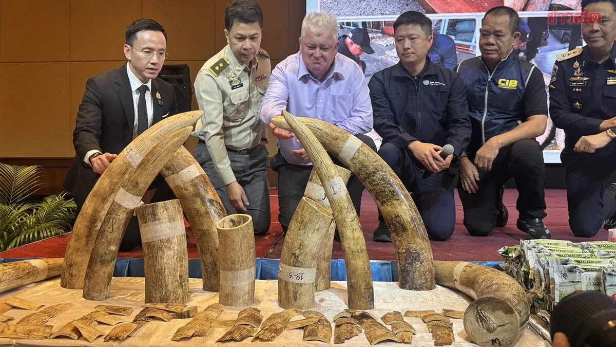 Thai Authorities Seize 400 African Ivory Tusks at Laem Chabang