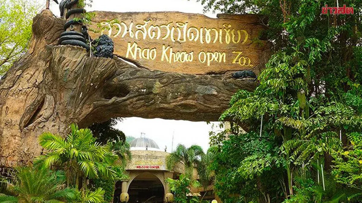 Khao Kheow Zoo Offers Free Entry for Kids, Seniors on Oct 23