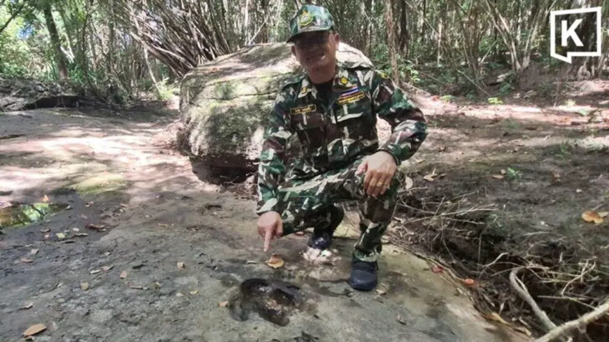 Four Possible Dinosaur Footprints Found in Udon Thani Forest