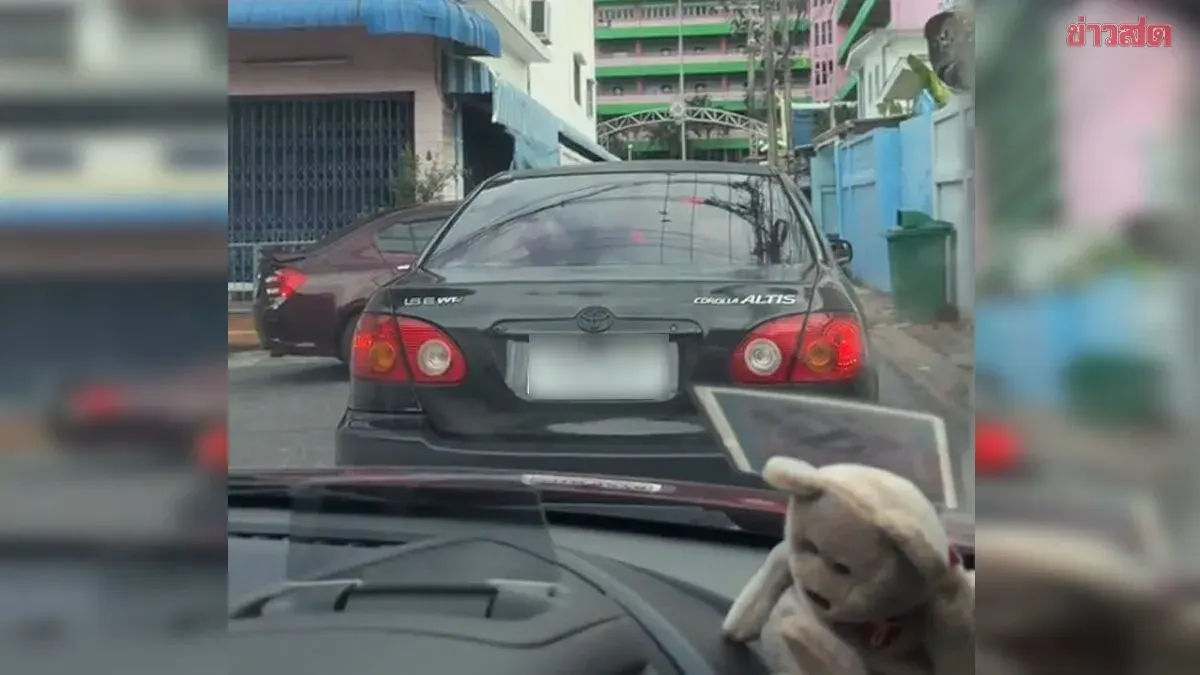Woman Drives Stranger's Car to Vote in SS Board Election