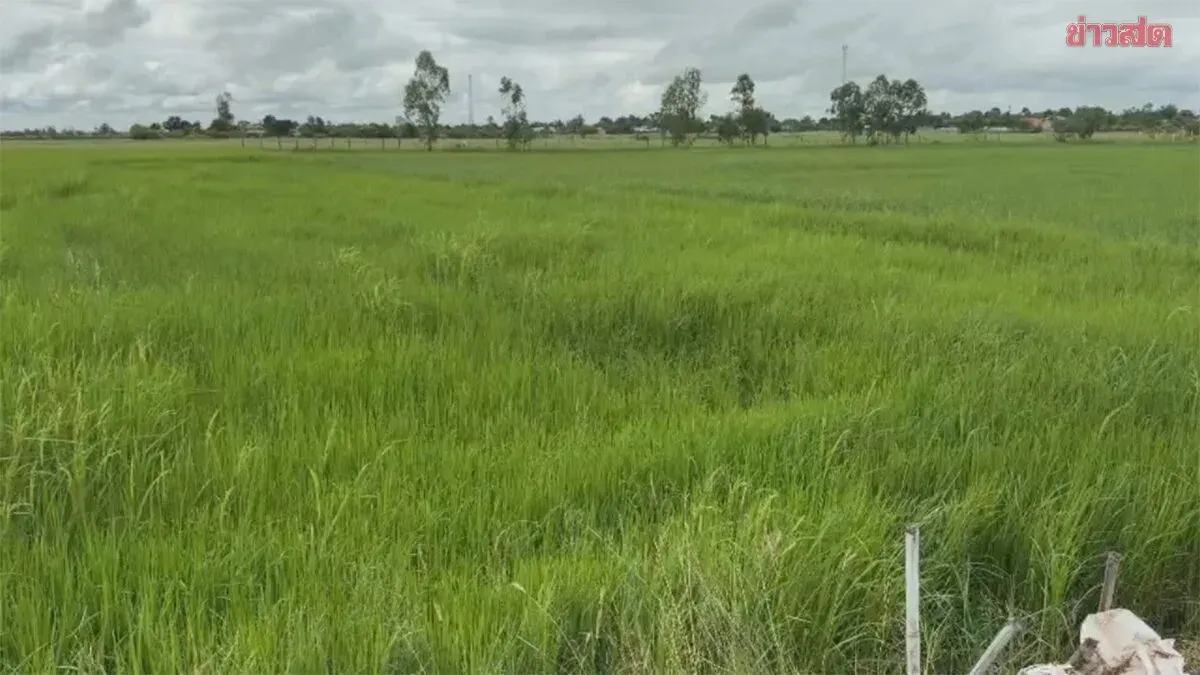 Dan Khun Thod Farmers Oppose Costly EV Tractor Purchase