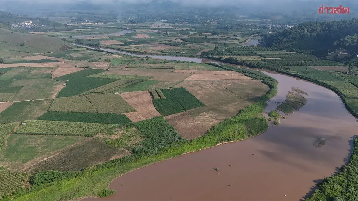 Farmers Warn as Arsenic Levels Spike in Mae Sai River