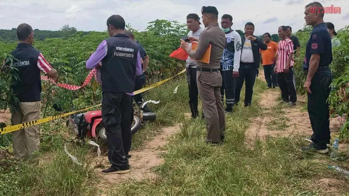 Man Killed Over Cassava Theft in Buriram Field