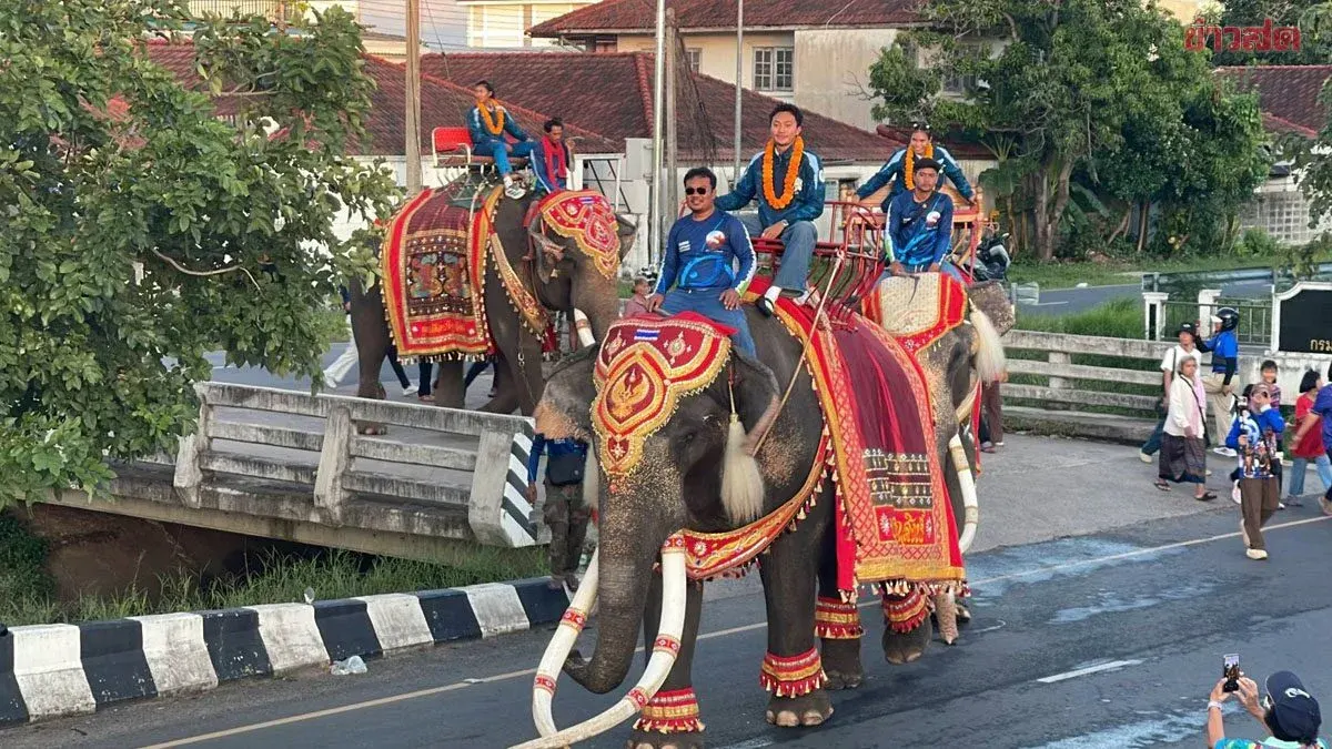 Surin Province Welcomes Asian Games Hero With Nine-Elephant Parade
