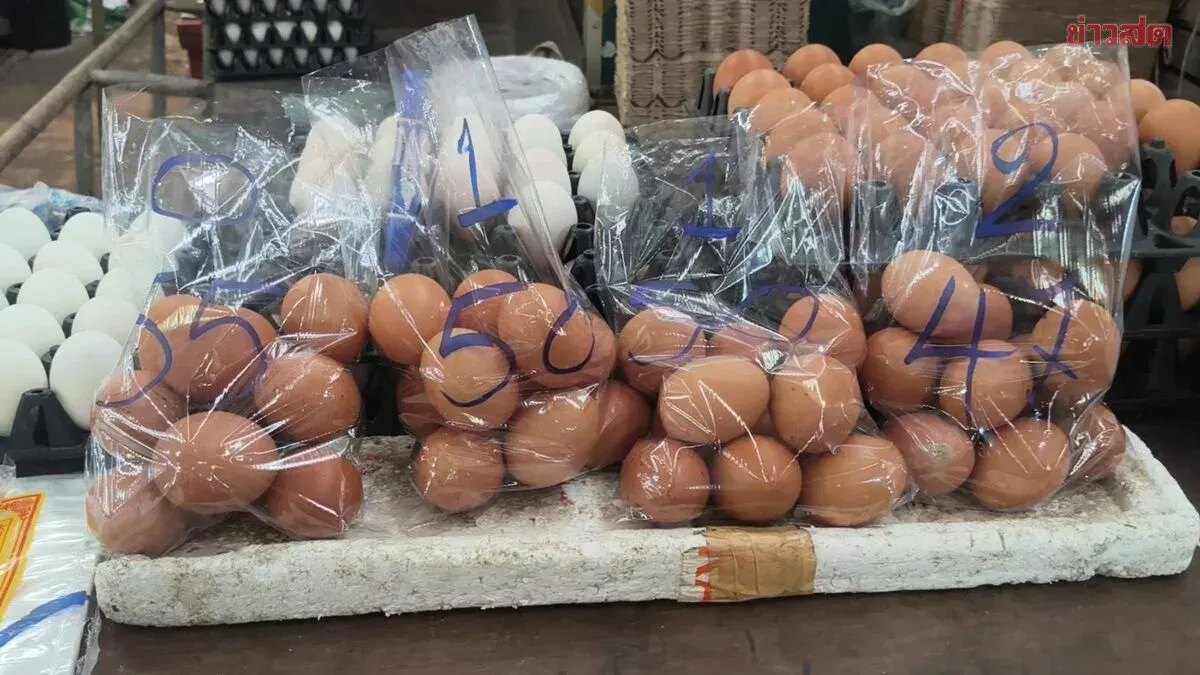 Floods Drive Up Egg Prices, Cause Shortages in Chonburi