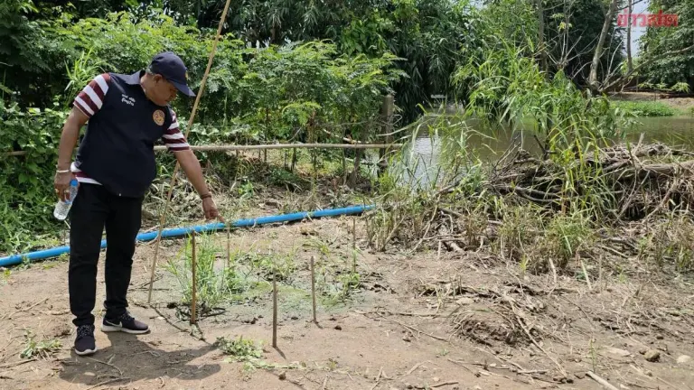 Crocodile Seen in Lopburi River, Officials Warn Residents