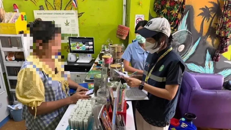 Phuket Revokes Two Cannabis Shop Licences