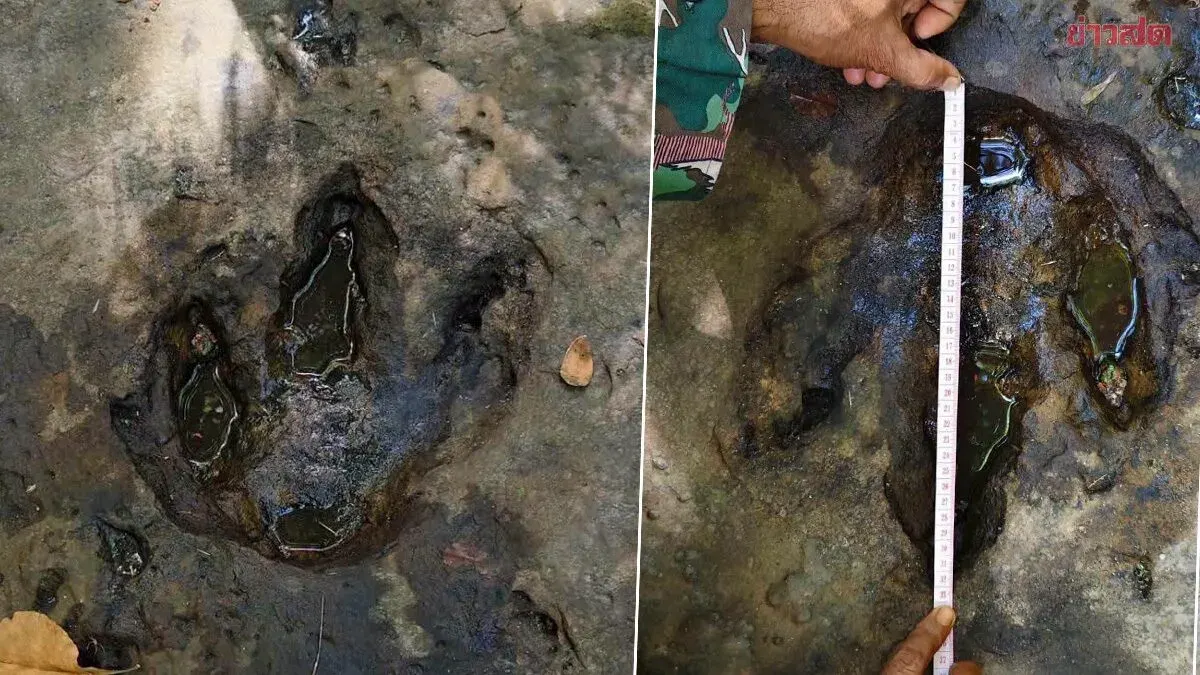 Dinosaur Footprints Discovered at Udon Thani Waterfall