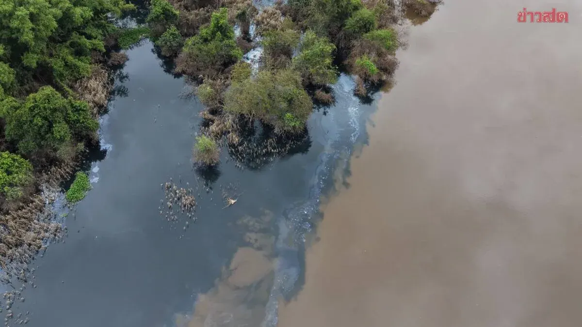 Pollution Department Corrects Water Data in Prachinburi Fish Kill