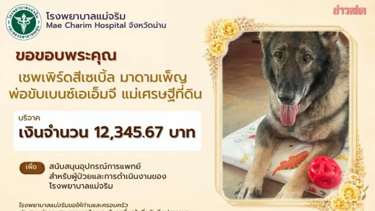 Pet Owners' Viral Donations Overwhelm Mae Charim Hospital in Nan